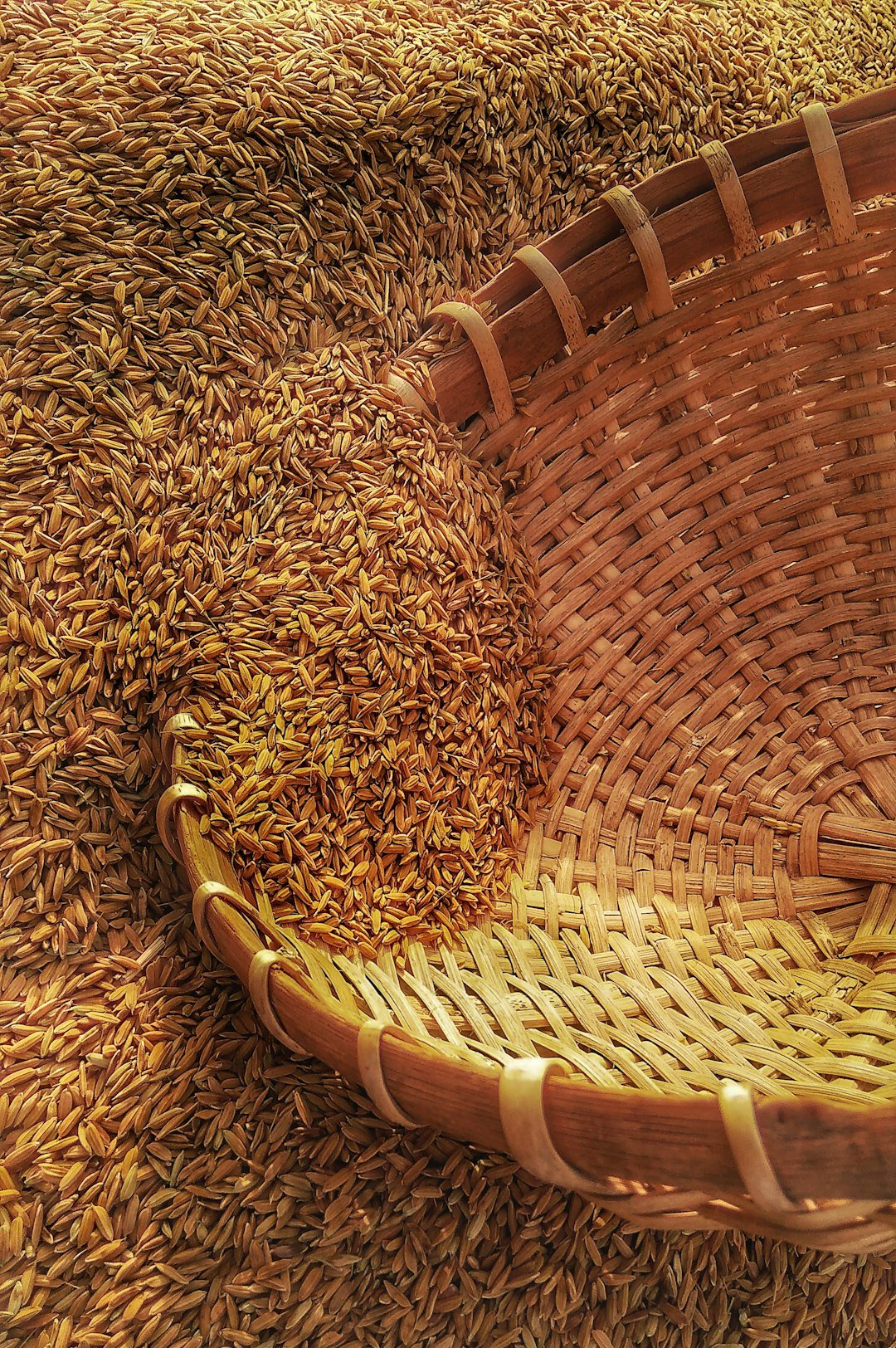 Whole grains such as rice for a balanced diet